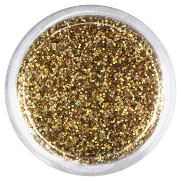 Glitter Σκόνη 8 - Gold Opal